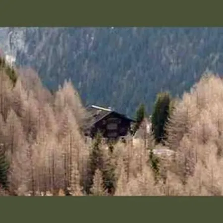 Haus Antonius Lilie *